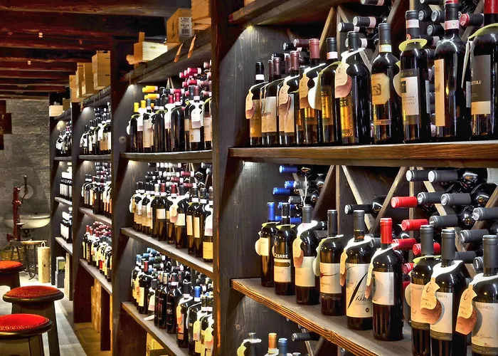 Saligari Hotel Verceia