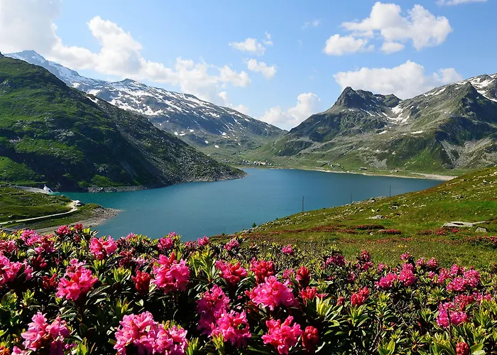 Отель Saligari 3*